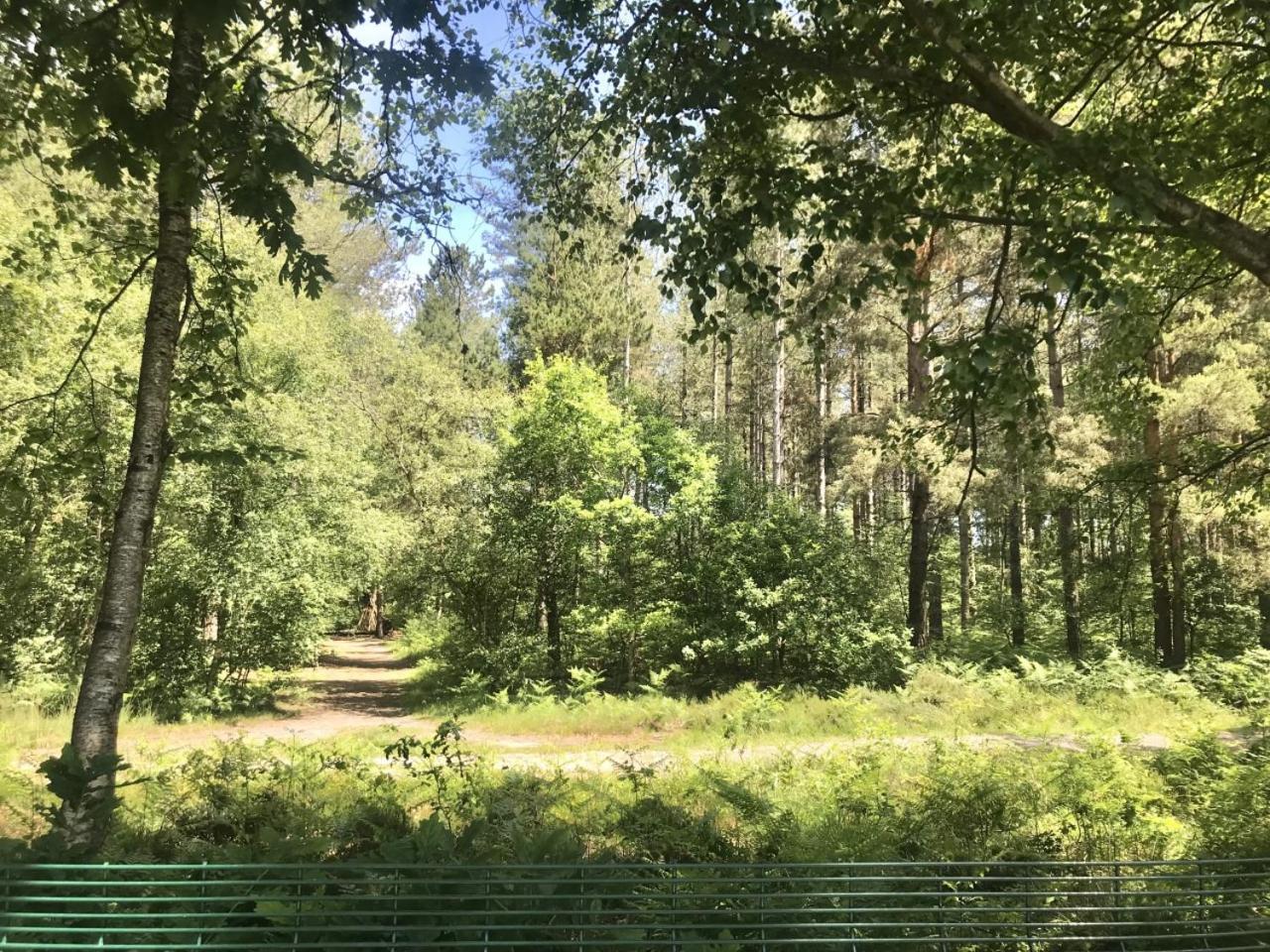 Forest View At Oakdene Forest Park - Leisure Passes Included! Ringwood Exterior foto