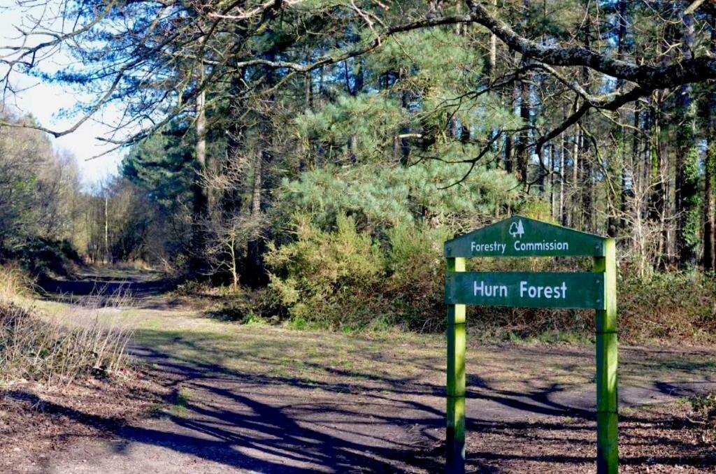 Forest View At Oakdene Forest Park - Leisure Passes Included! Ringwood Exterior foto