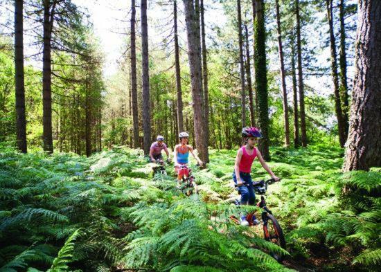 Forest View At Oakdene Forest Park - Leisure Passes Included! Ringwood Exterior foto